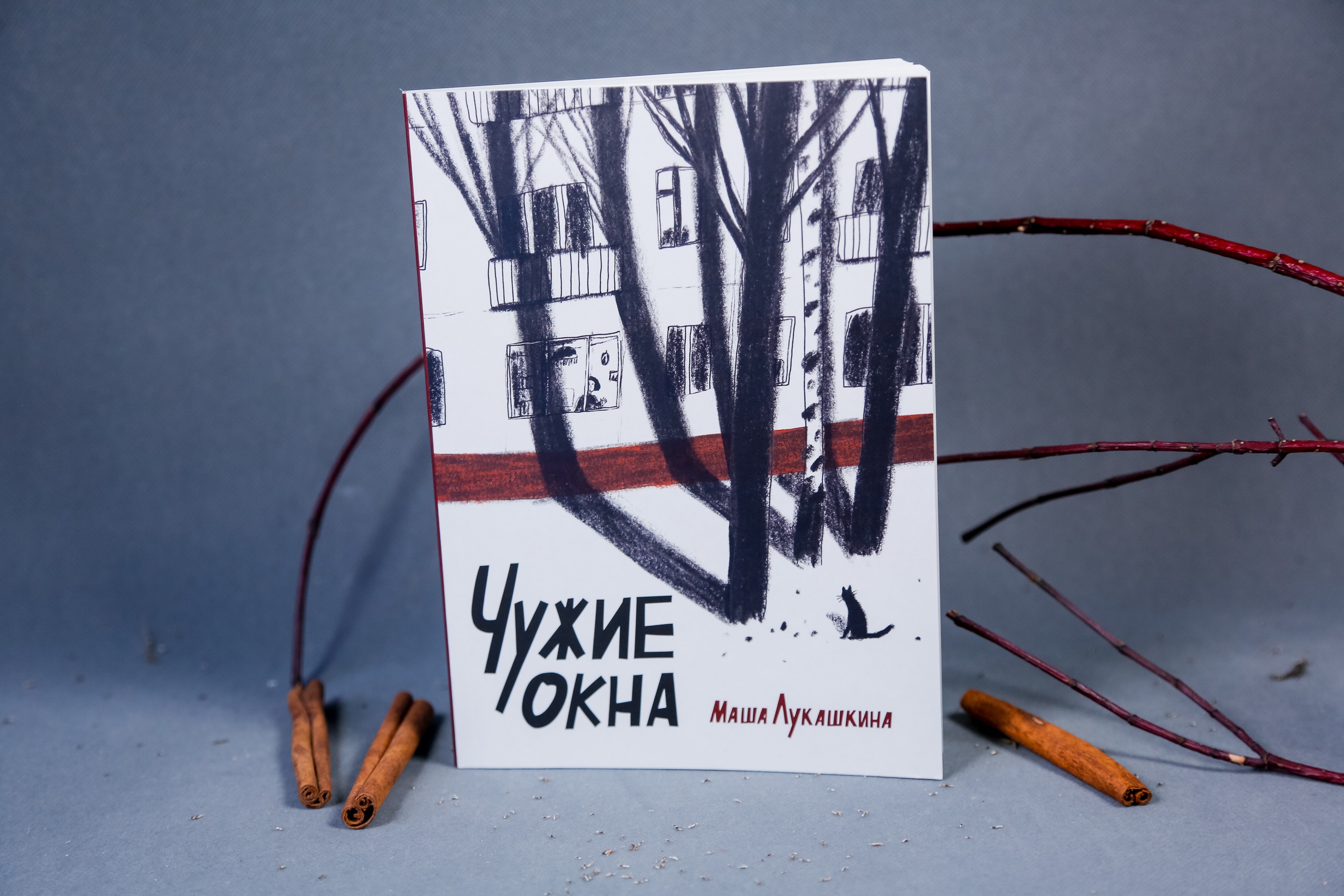 Книга Волчок Чужие окна - фото 3