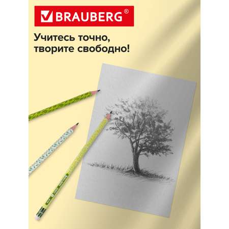 Карандаши чернографитные Brauberg 72 шт.