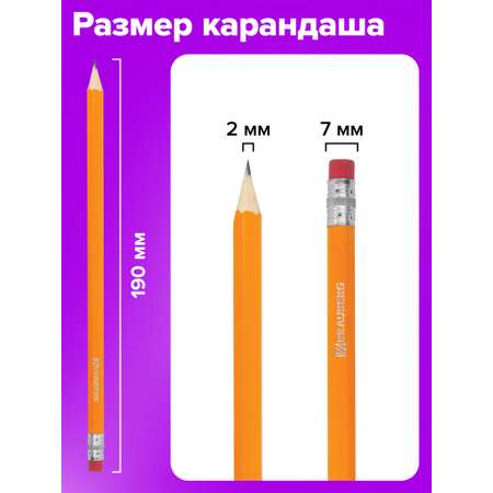 Карандаши чернографитные Brauberg 12 шт.