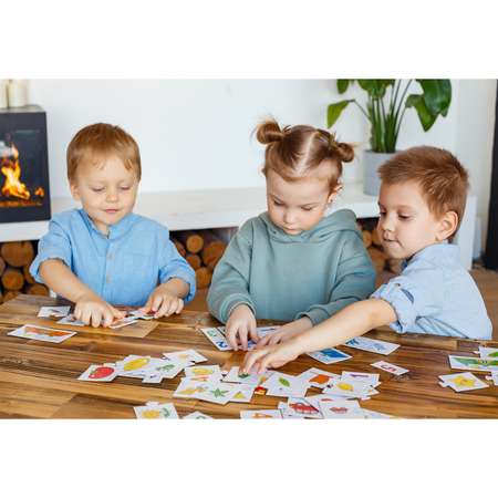 Игрушка Дрофа-Медиа пазл Большой-Маленький