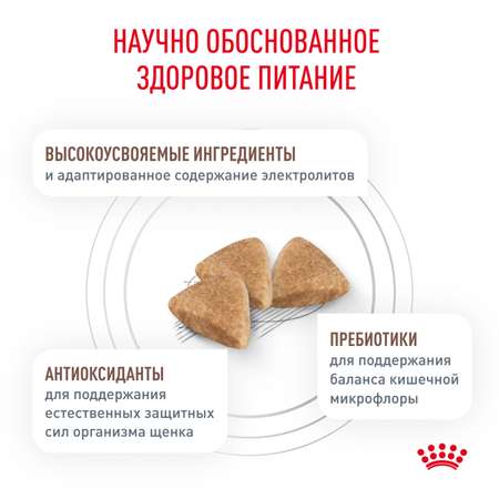 Корм для щенков ROYAL CANIN Gastro Intestinal Junior GIJ29 при нарушениях пищеварения 1кг
