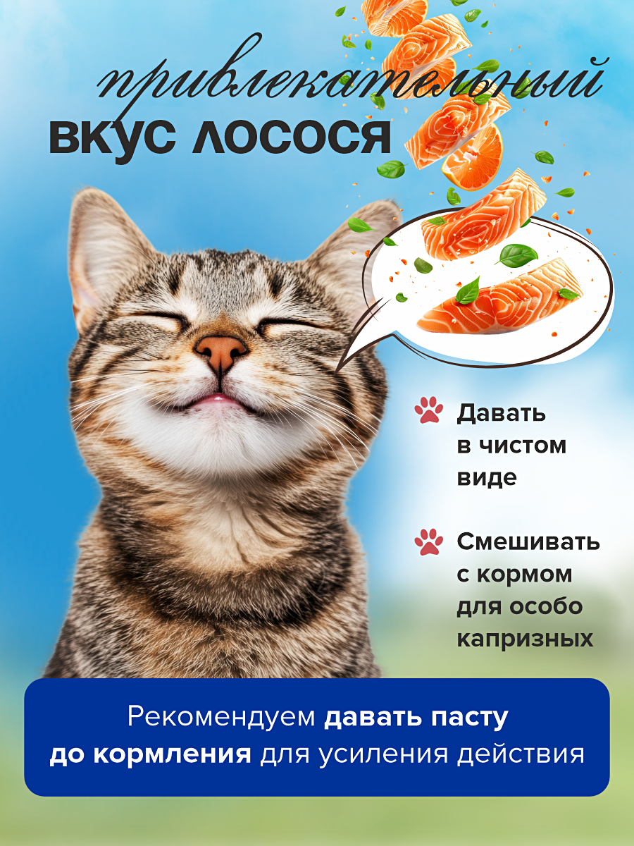 Паста для выведения шерсти витаминная GOODR Cat с маслом лосося 75мл - фото 6