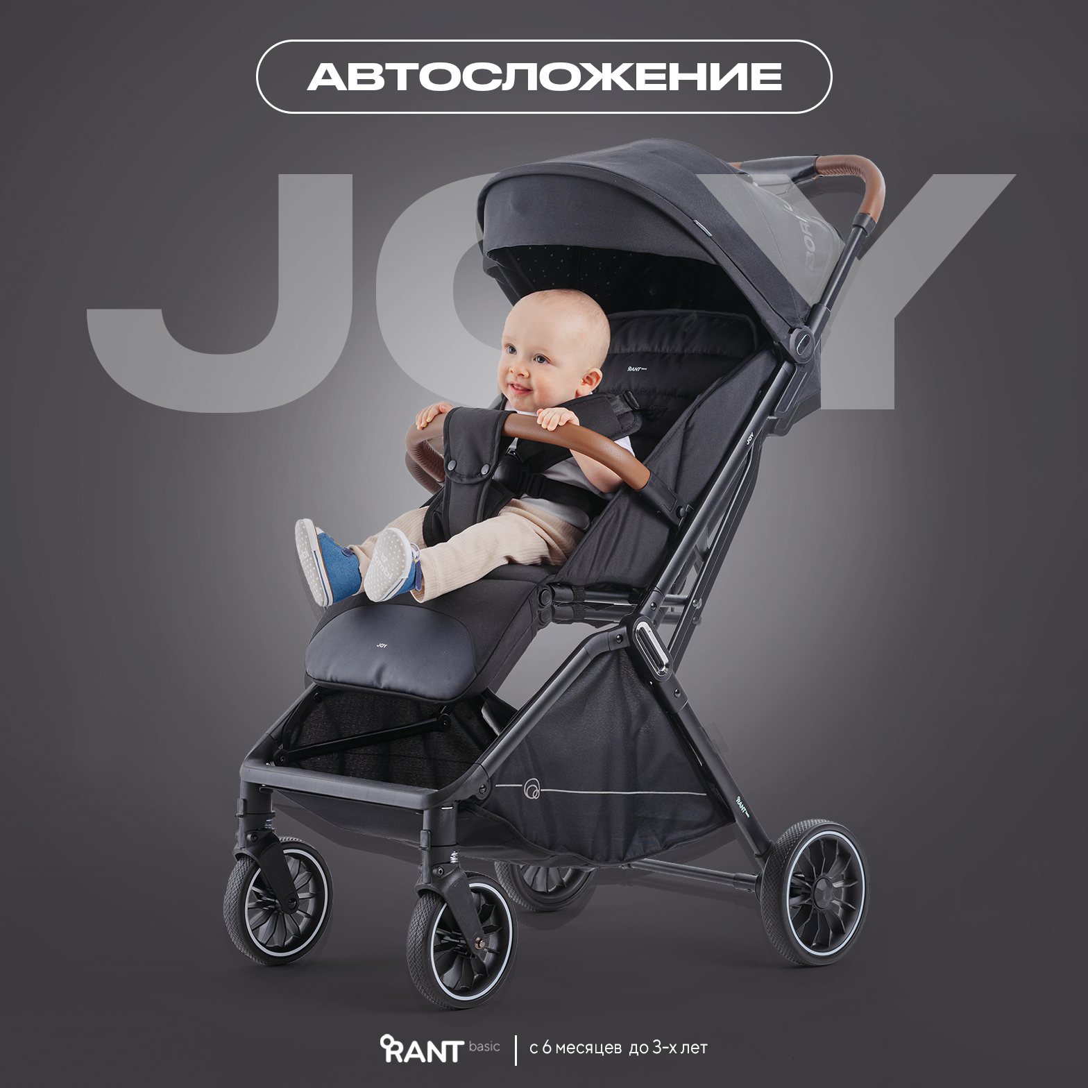 Коляска прогулочная Rant Basic Joy - фото 1