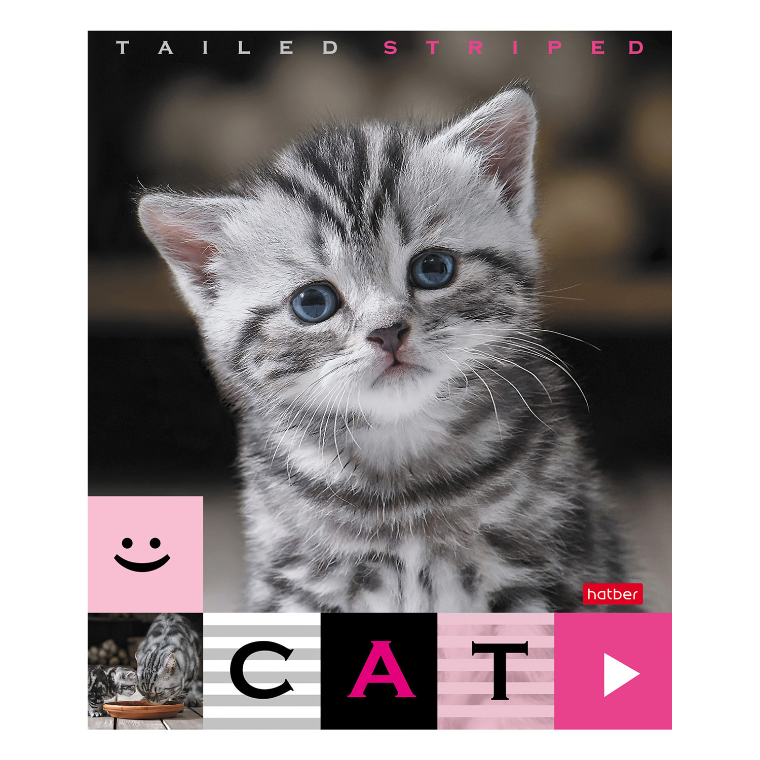 Общая тетрадь Hatber клетка 40 лист. в ассортименте - фото 3