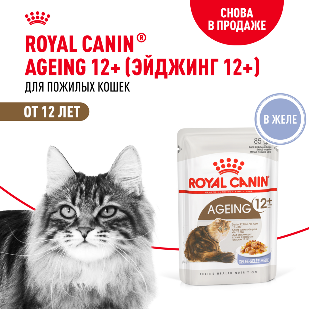 Корм для кошек ROYAL CANIN Ageing 85гр для пожилых 12+ желе пауч - фото 1