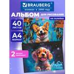 Альбом Brauberg А4 40 лист. 2 шт.