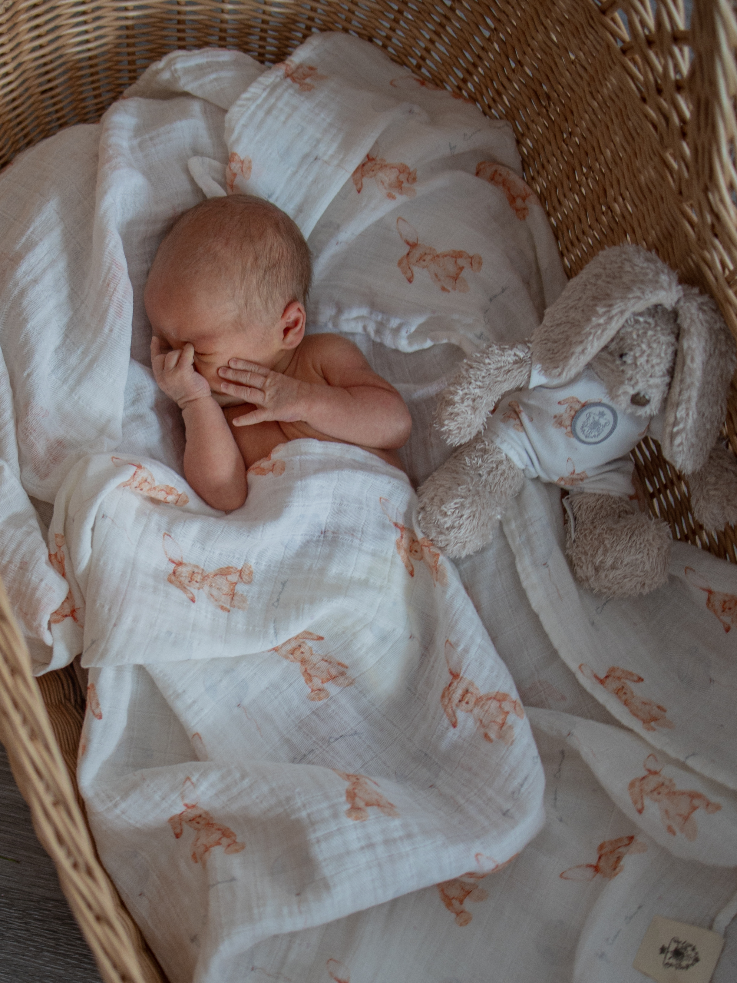 Пелёнка НаследникЪ Выжанова Набор муслиновых пеленок муслин 120х120 см 2 шт. - фото 2