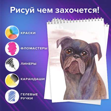 Альбом Brauberg А4 48 лист. 4 шт.