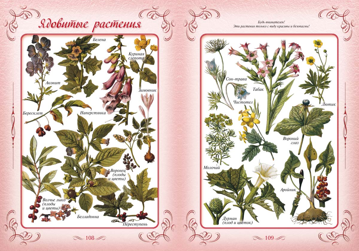 Книга Белый город Первая книга наших прапрабабушек - фото 7