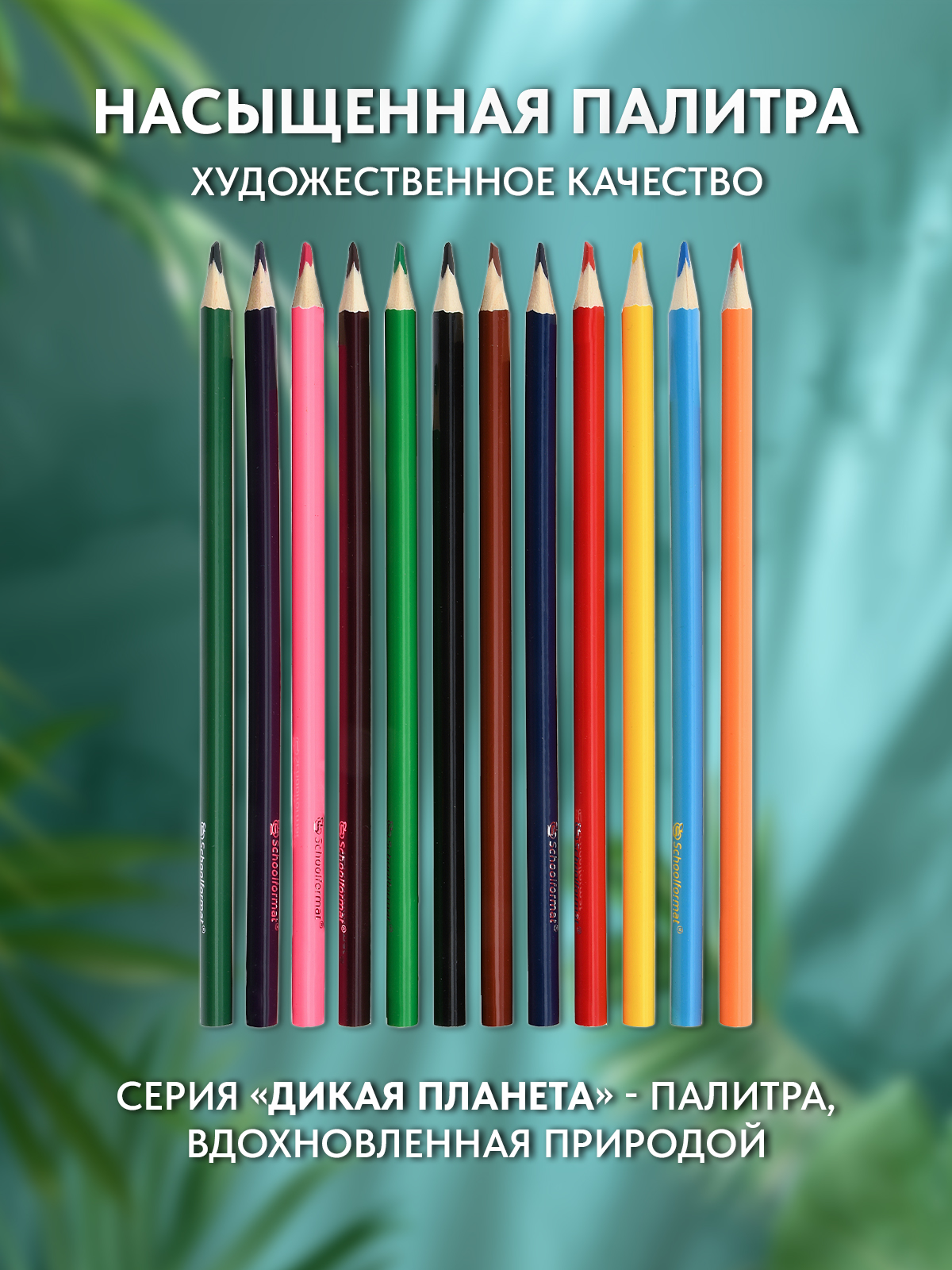 Карандаши цветные SCHOOLFORMAT 12 шт. - фото 2