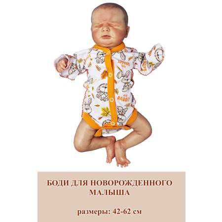 Боди Littlebloom