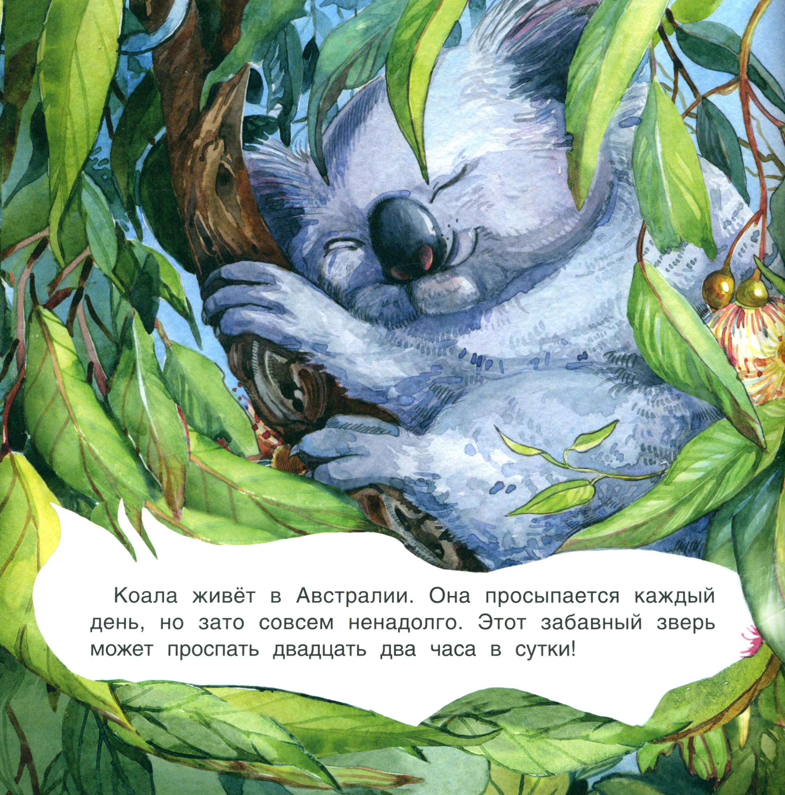 Книга Качели Кто как спит - фото 2