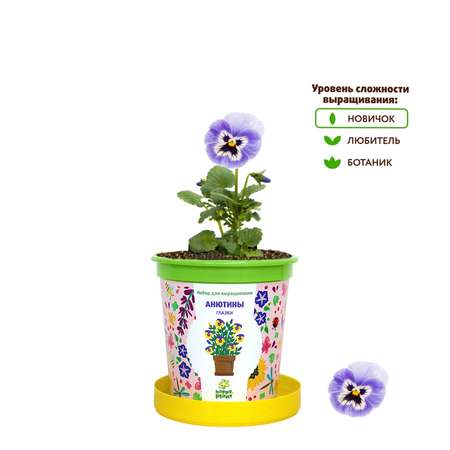 Набор для выращивания Happy Plant