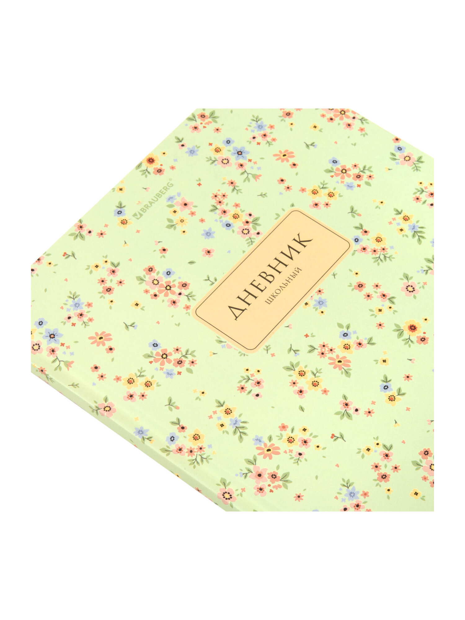 Дневник школьный Brauberg для девочек 1-11 класс твердая обложка 40 листов - фото 4