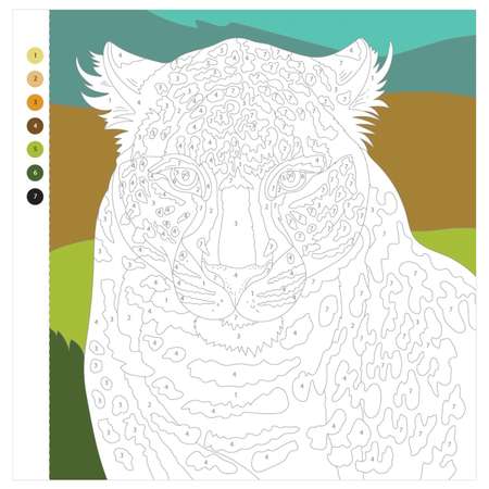 Книга АСТ Coloristic Цветовой квест по номерам