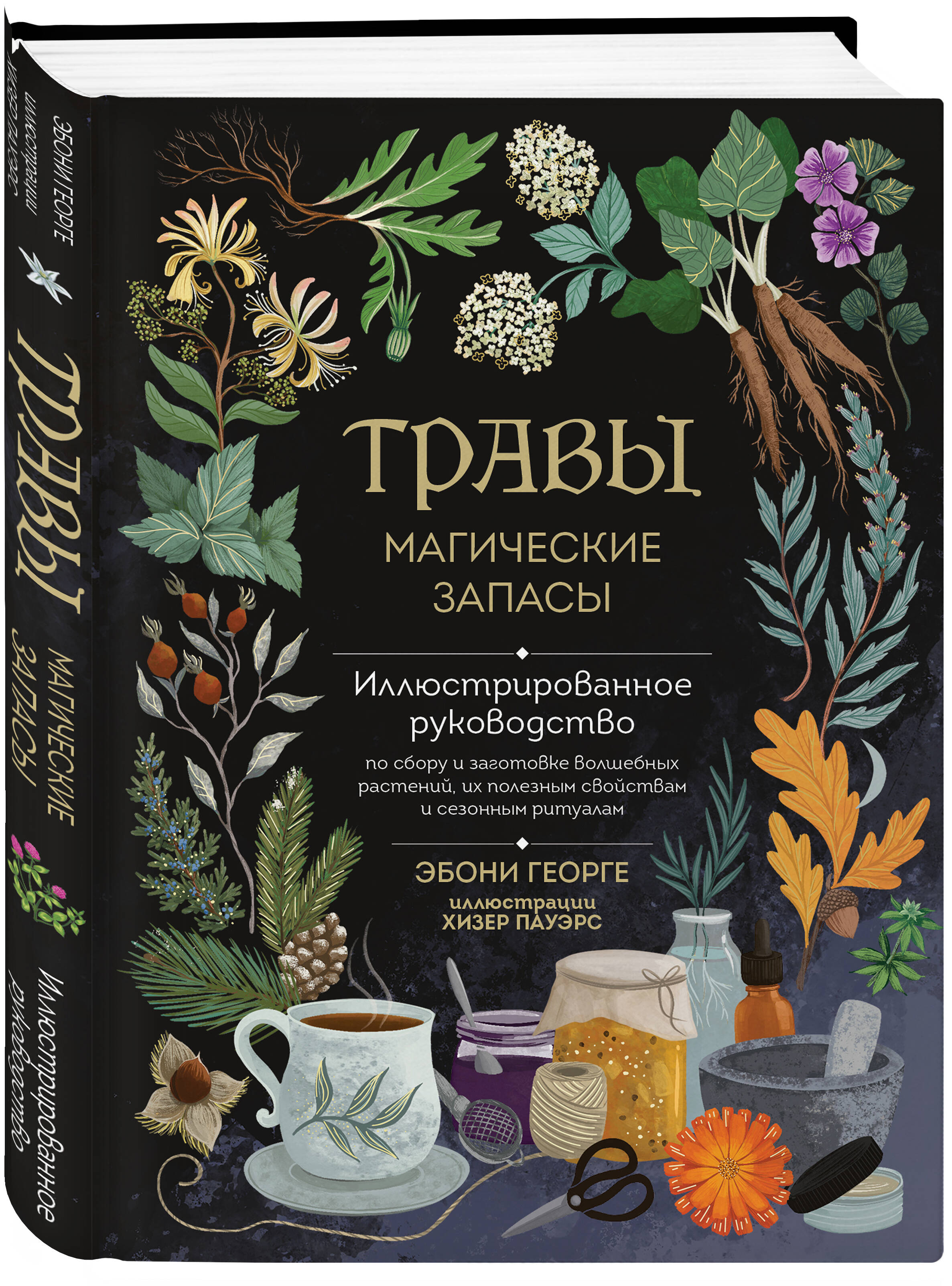 Книга Эксмо Травы. Магические запасы. Иллюстрированное руководство - фото 5