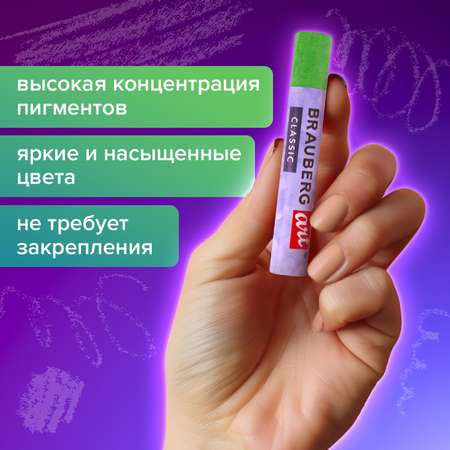 Пастель масляная Brauberg 24 шт.