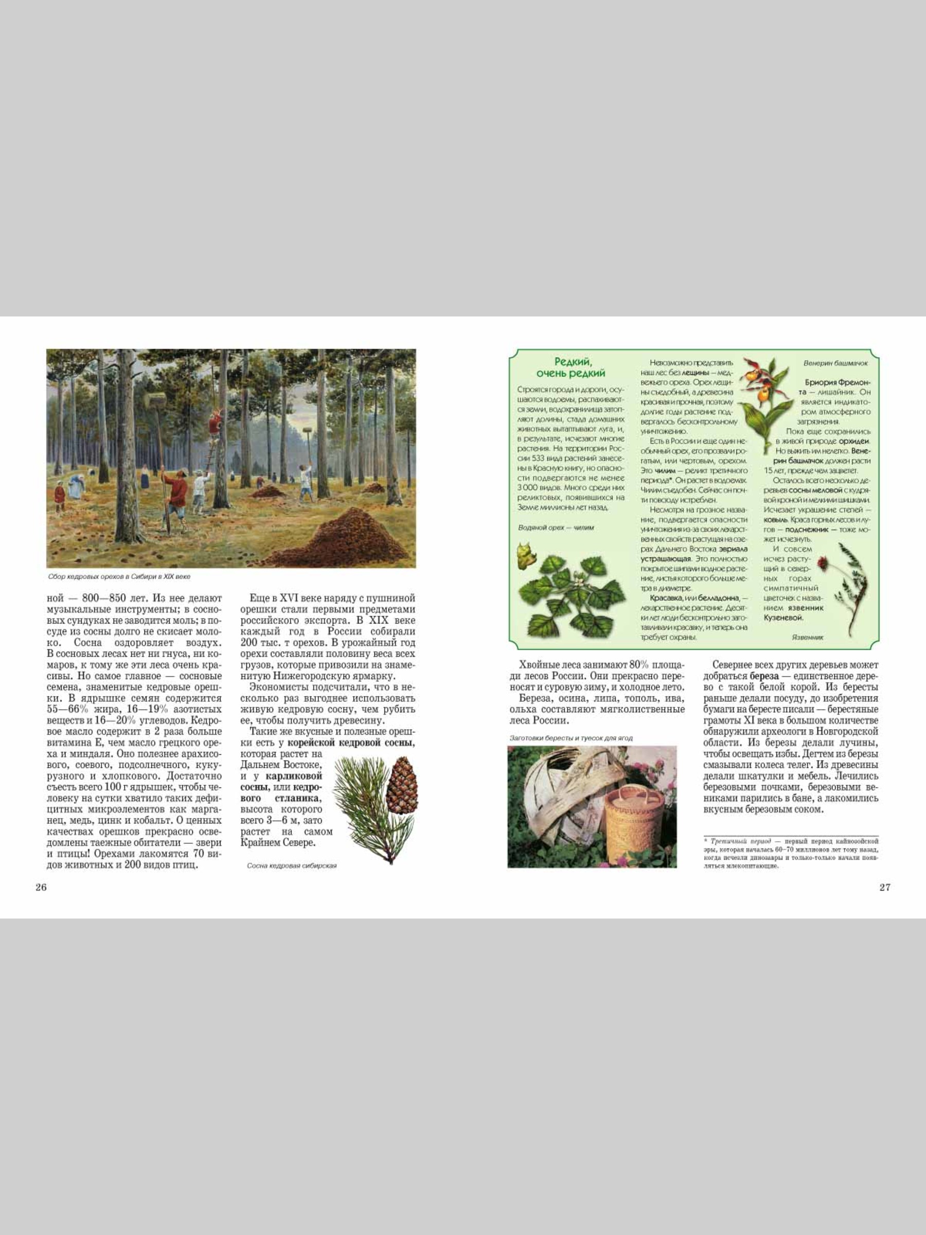 Книга Белый город Природа России - фото 5