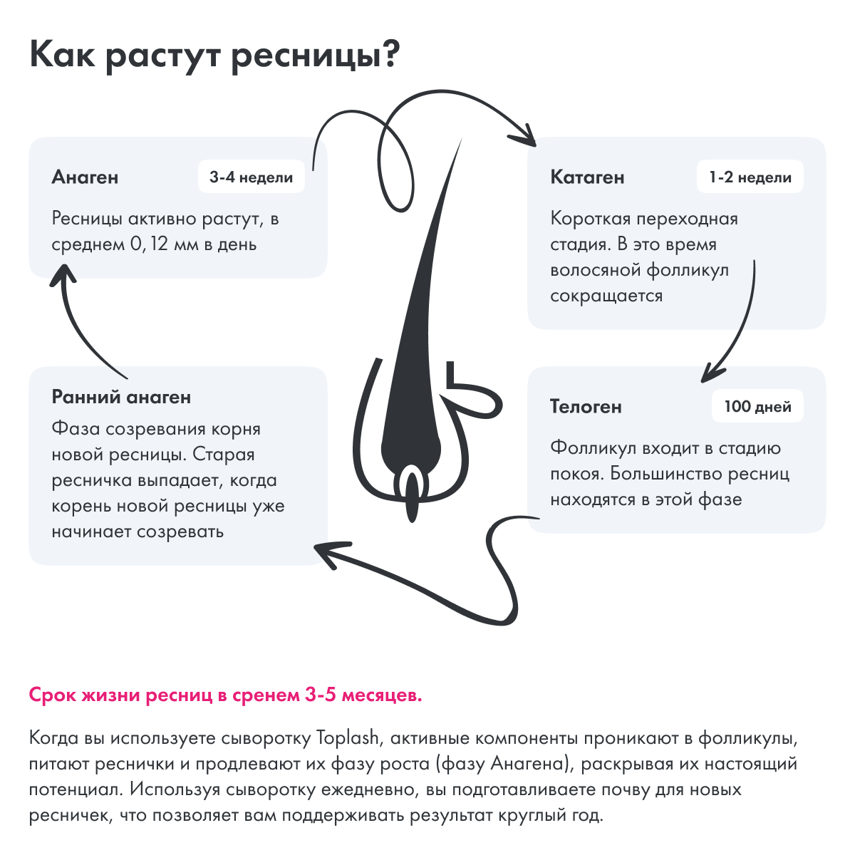 Сыворотка для роста ресниц Toplash lash and brow booster - фото 10