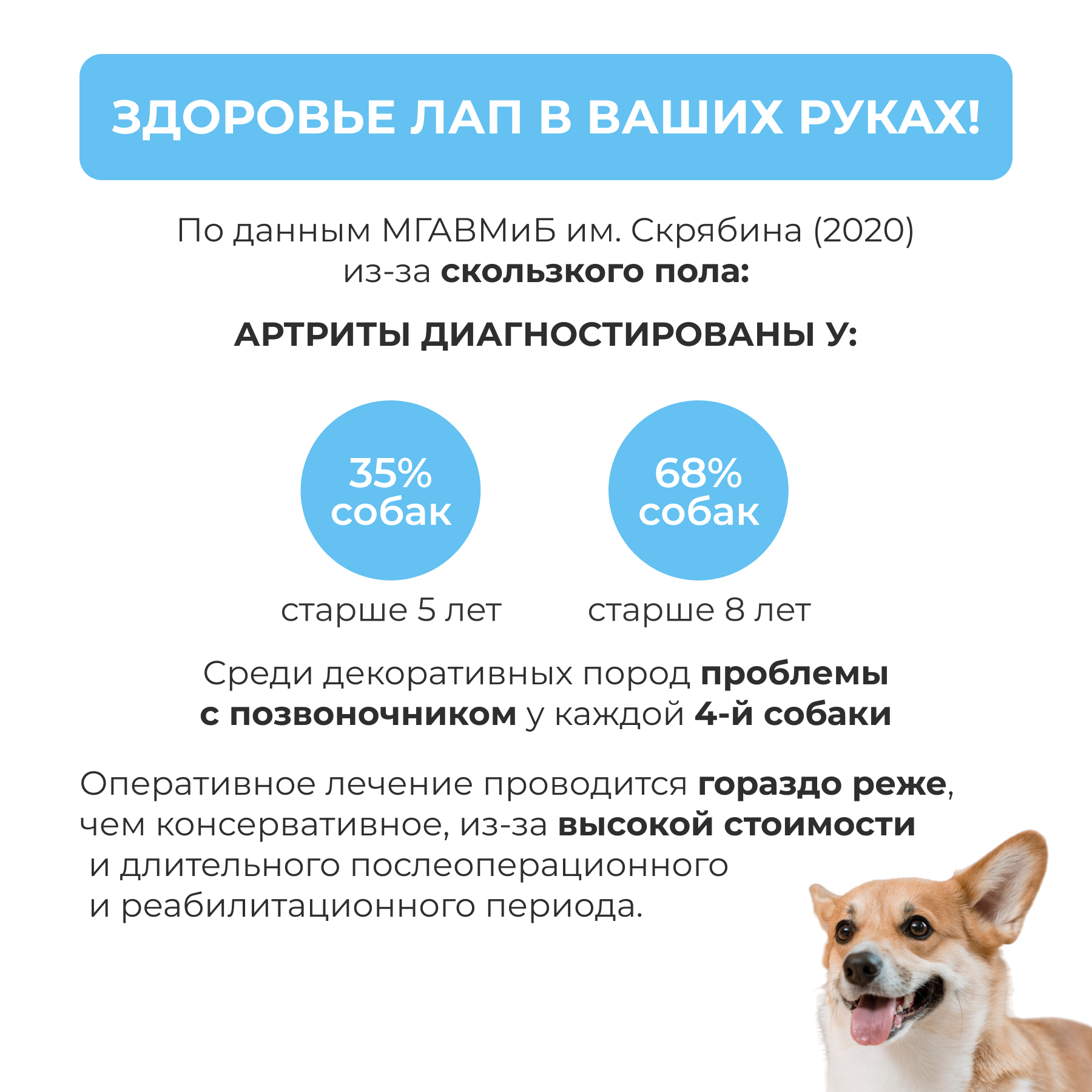 Коврик для животных Parklon Petnoriter 150х100х0,55 см - фото 4