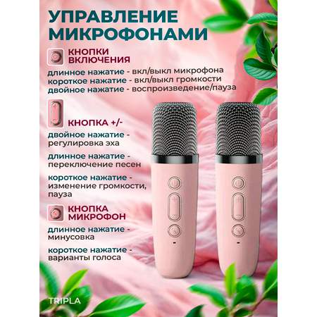 Детское караоке MagicStyle караоке с 2 беспроводными микрофонами