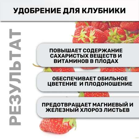 Комплексное удобрение FERTIKA Kristalon для Клубники и Земляники 2л