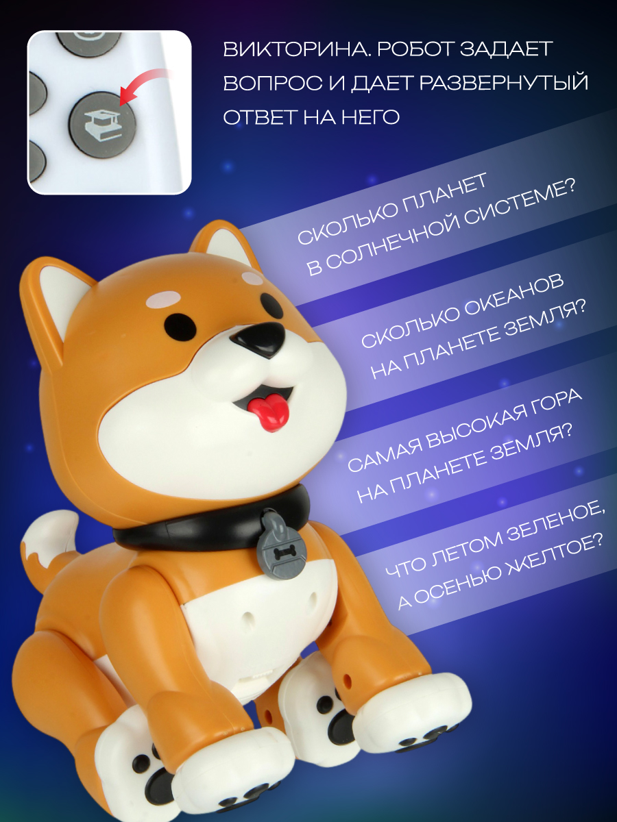 Собака РУ Veld Co - фото 10