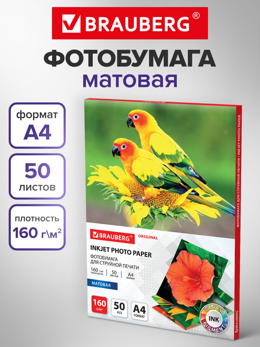 Фотобумага Brauberg матовая для печати фото 50 листов А4 - фото 1