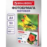 Фотобумага Brauberg матовая для печати фото 50 листов А4