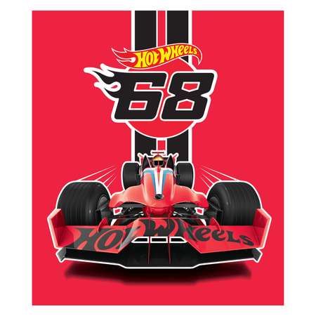 Общая тетрадь Hot Wheels клетка 48 лист.