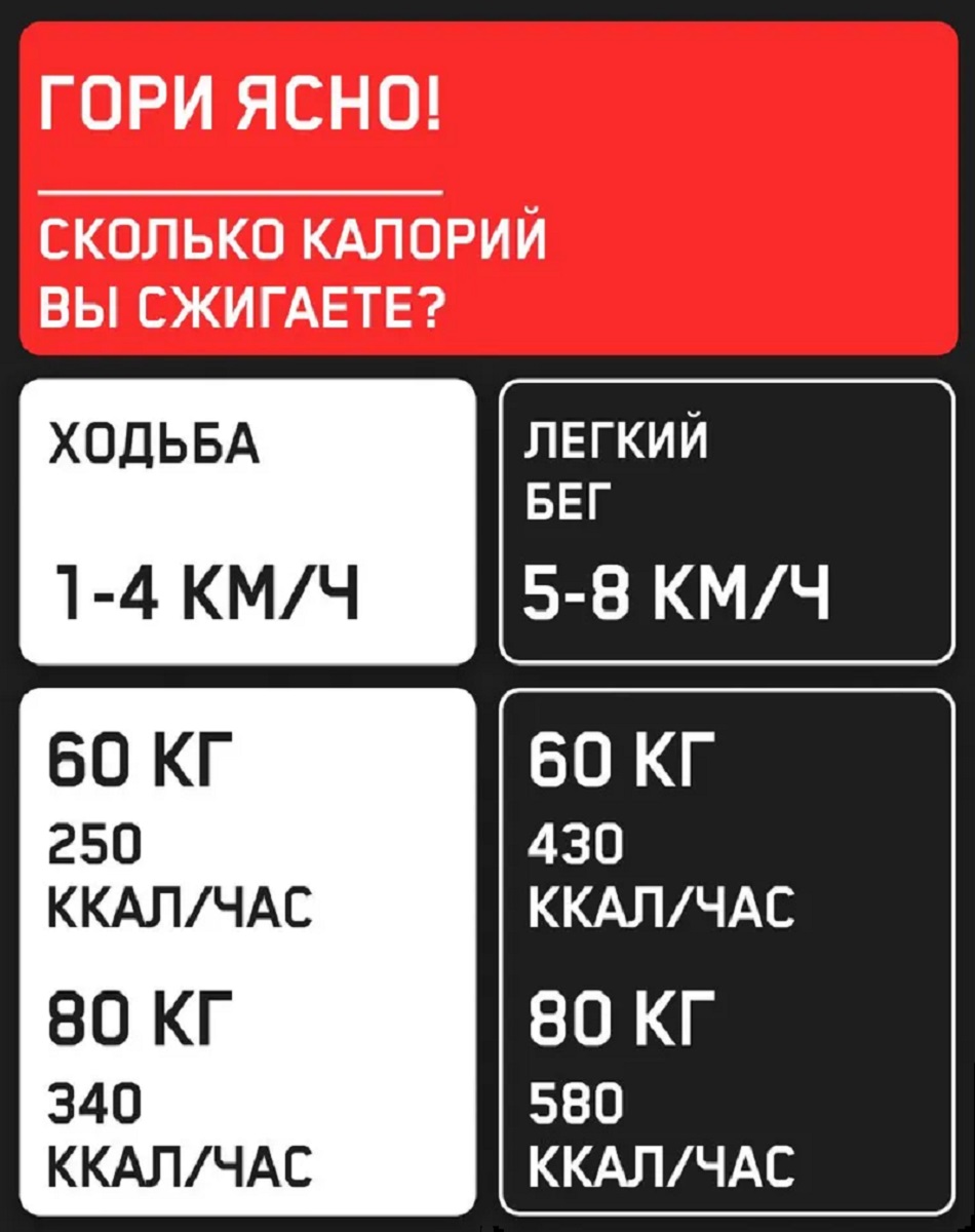 Беговая дорожка электрическая складная Perfetto Sport Libro PS-802 - фото 9