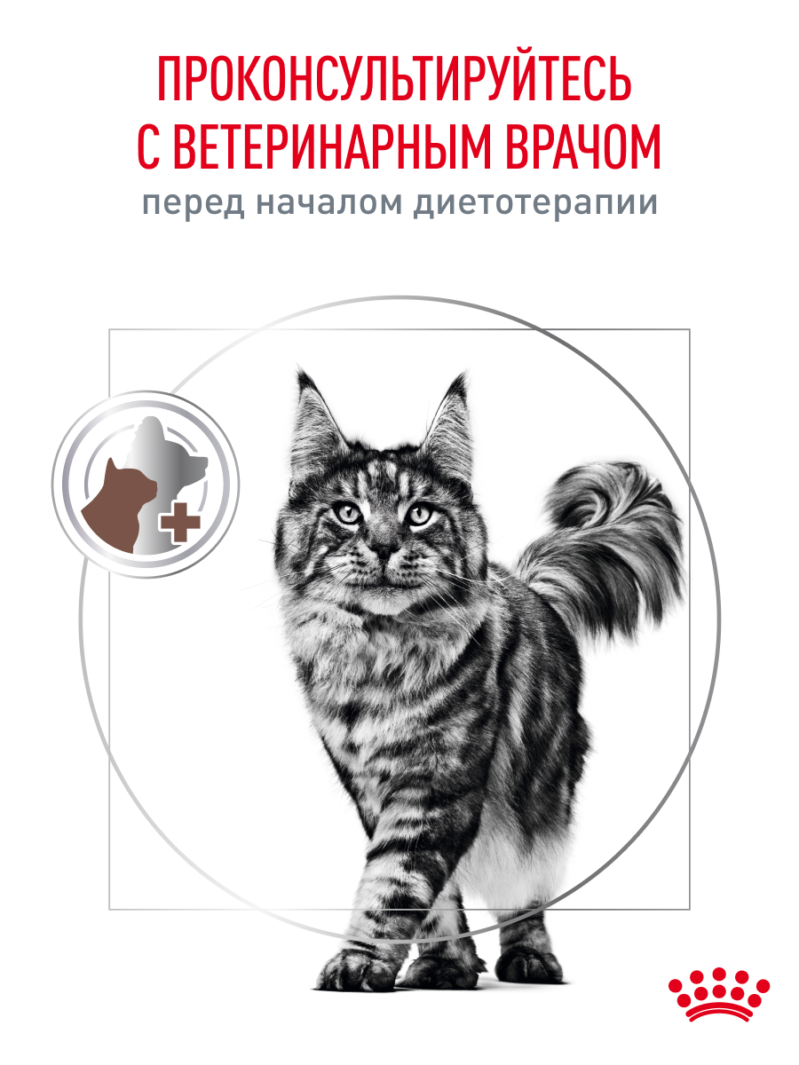 Корм для кошек ROYAL CANIN 350г Gastrointestinal - фото 10