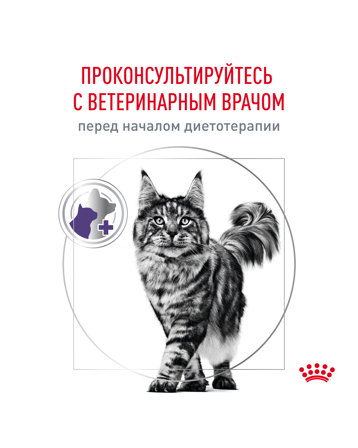Корм для кошек ROYAL CANIN Neutered Satiety Balance стерилизованных 300г - фото 11