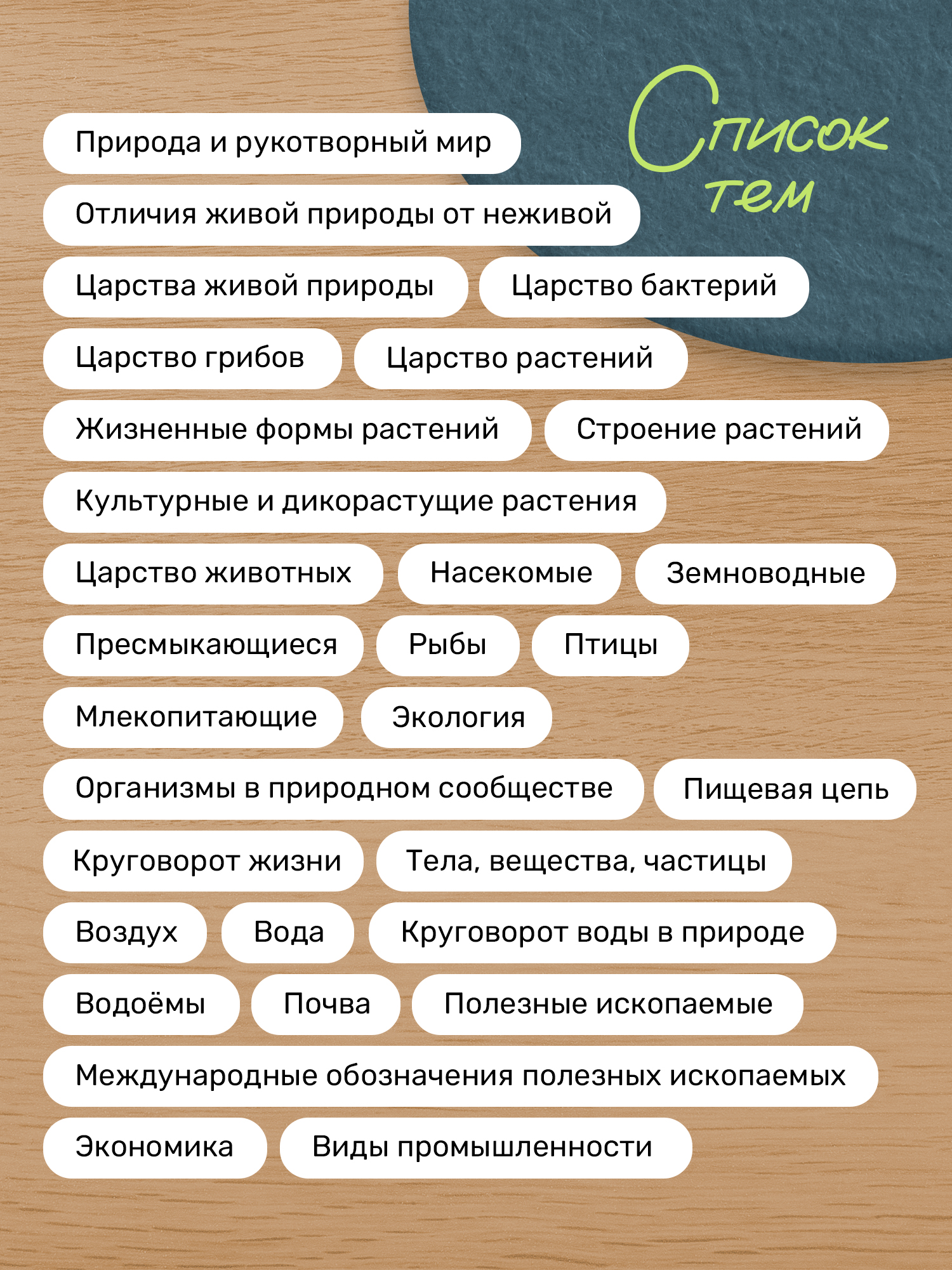 Карточки Выручалкин Окружающий мир 1-4 класс - фото 5
