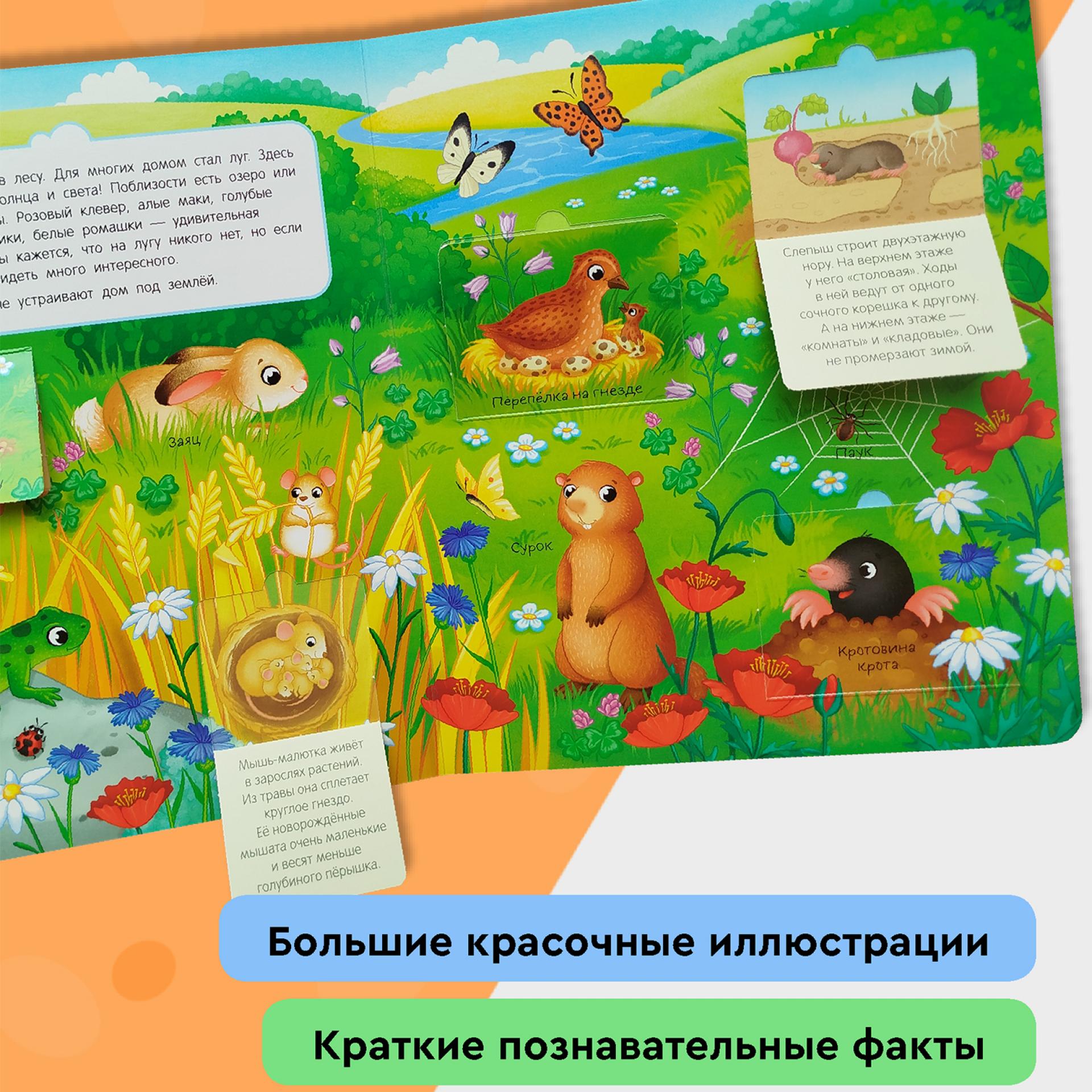 Книга Росмэн Кто где живет Книги с окошками - фото 6