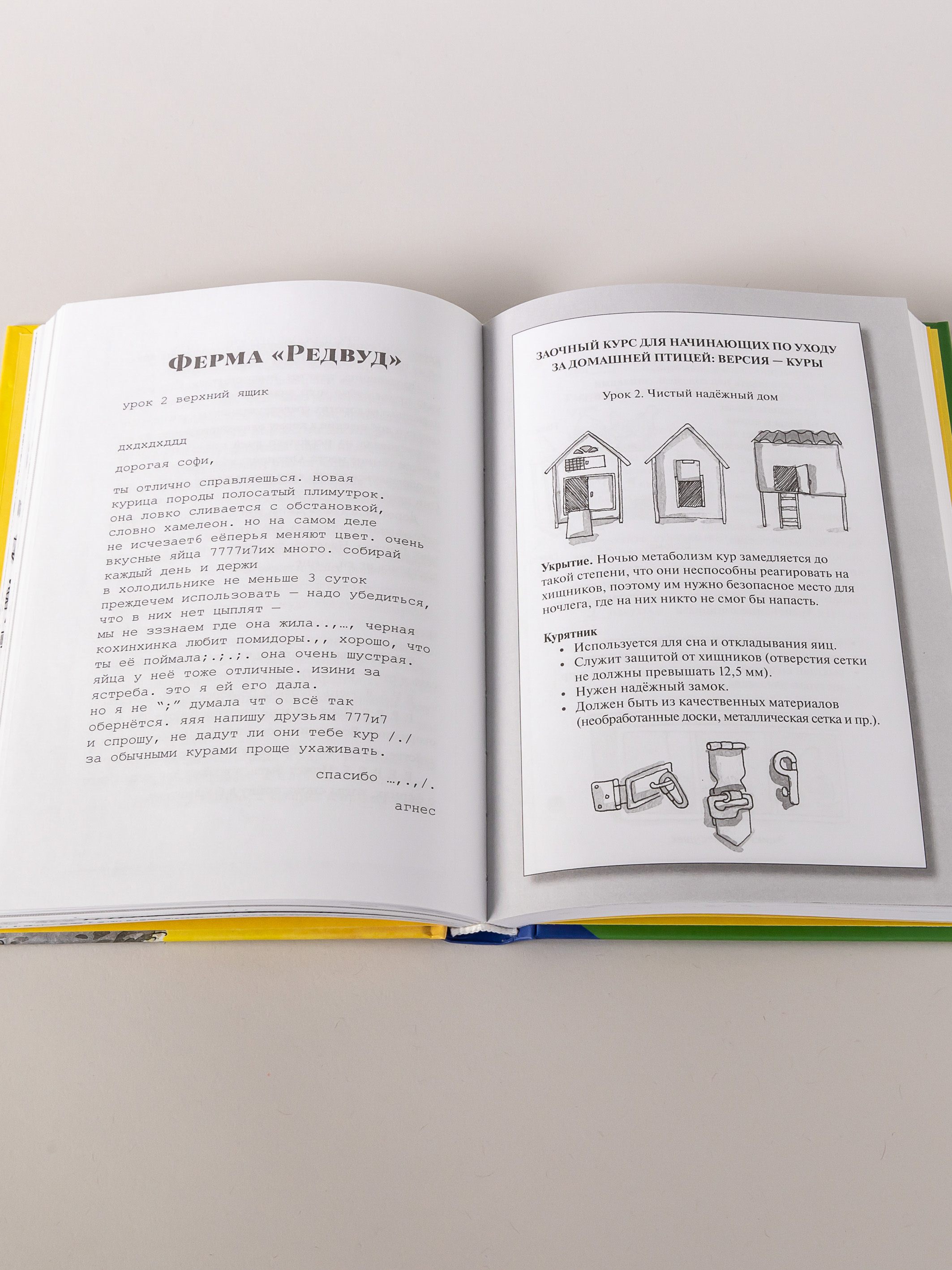 Книга Альпина. Дети Необыкновенные куры для лучшего фермера-птицевода - фото 9