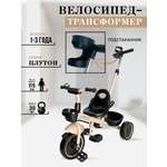 Трехколесный велосипед Velobibi