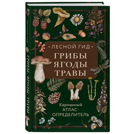 Книга Эксмо Лесной гид: грибы, ягоды, травы. Карманный атлас-определитель