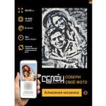Алмазная мозаика Рыжий кот Селфиконструктор 22*30