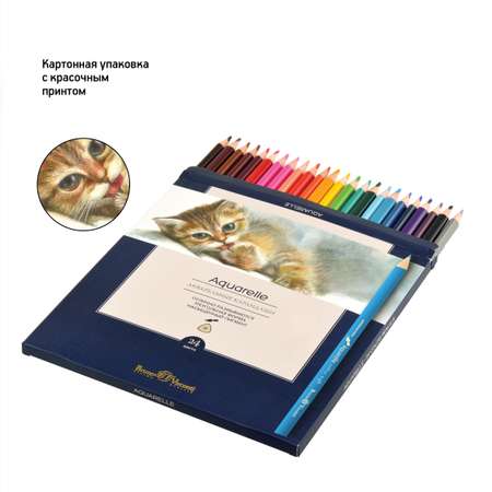 Карандаши цветные Bruno Visconti 24 шт.