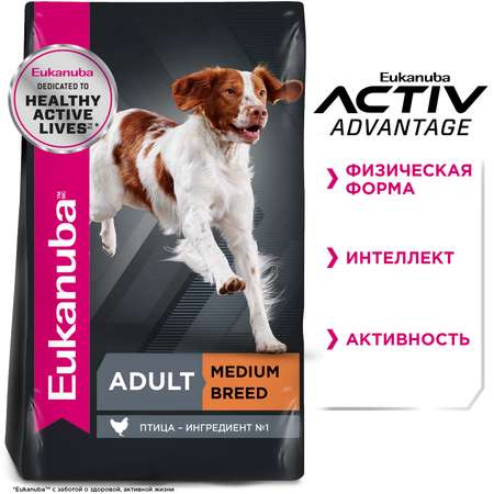 Корм Eukanuba Dog 3кг для взрослых собак средних пород сухой