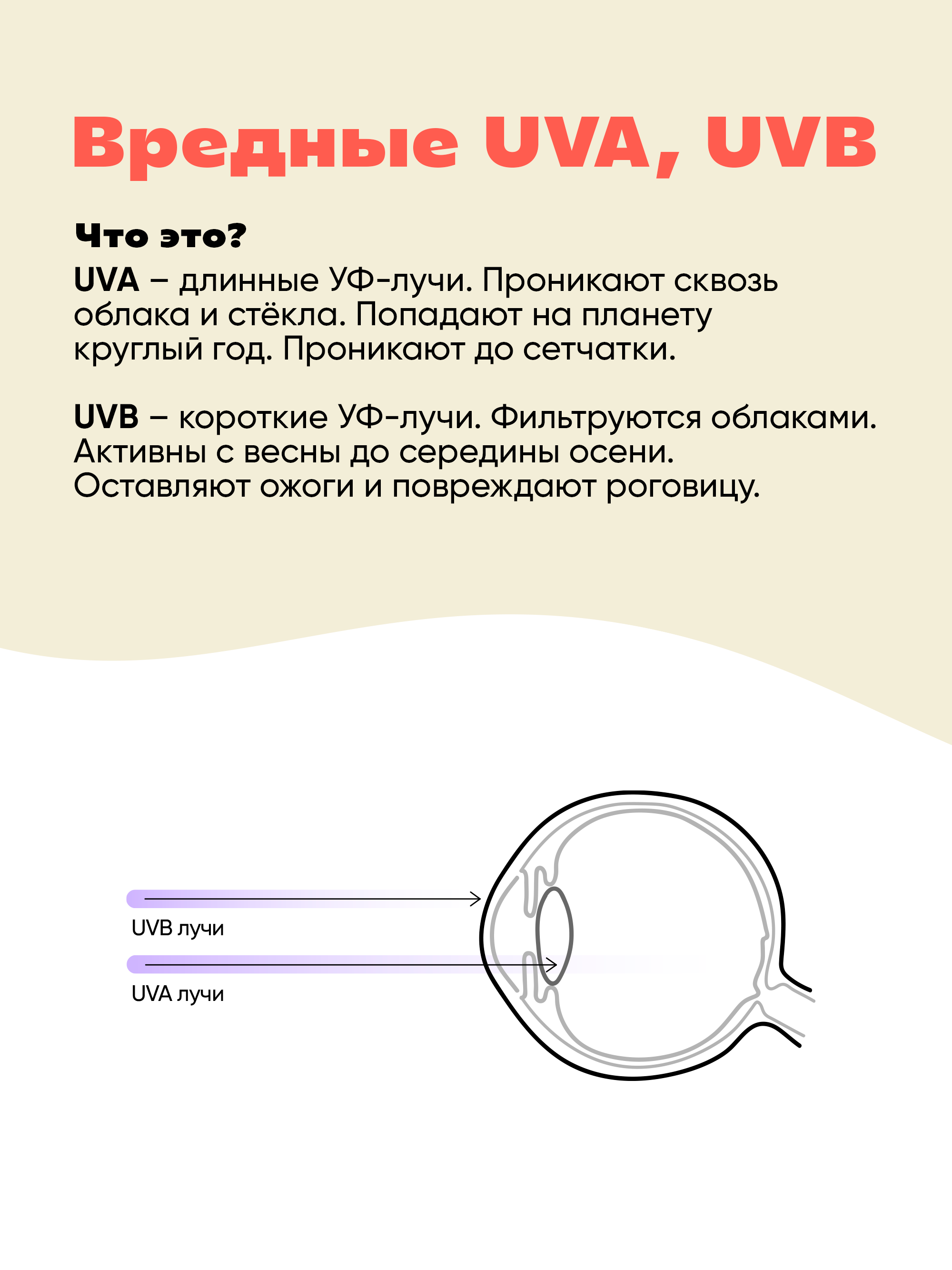 Очки солнцезащитные KiETLA WO2SUNOLIVE - фото 7