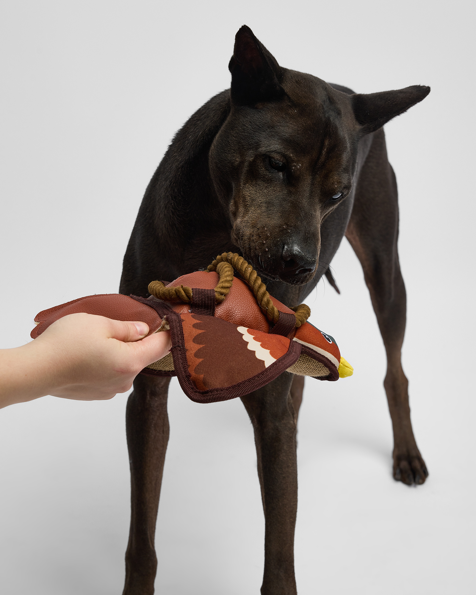 Игрушка для собак Barbaks Голубка Клавдия из кожи с канатиком 32*31см - фото 4