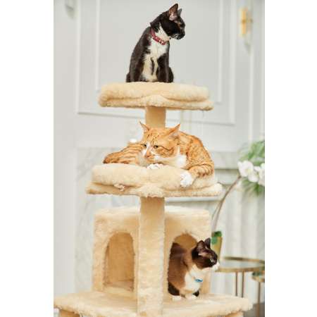 Игровой комплекс для кошек дом Pet БМФ Бежевый