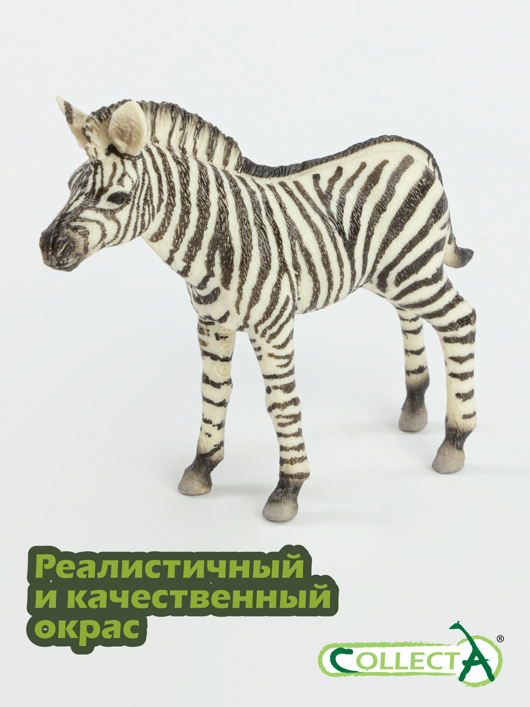 Фигурка Collecta Жеребенок зебры - фото 4