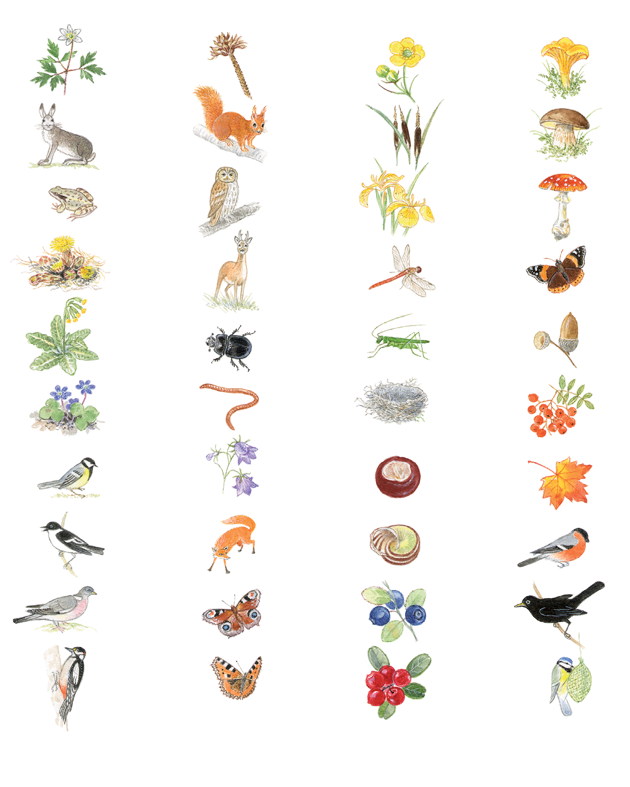 Книга ALBUS CORVUS Экспедиция Софи - фото 6