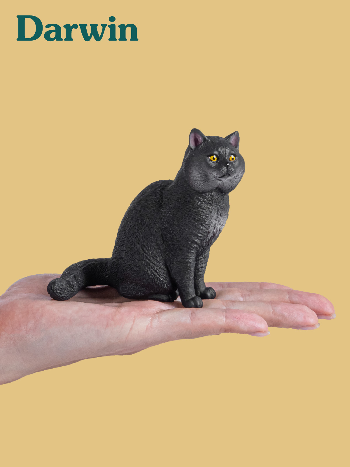 Фигурка DARWIN Британская кошка - фото 2
