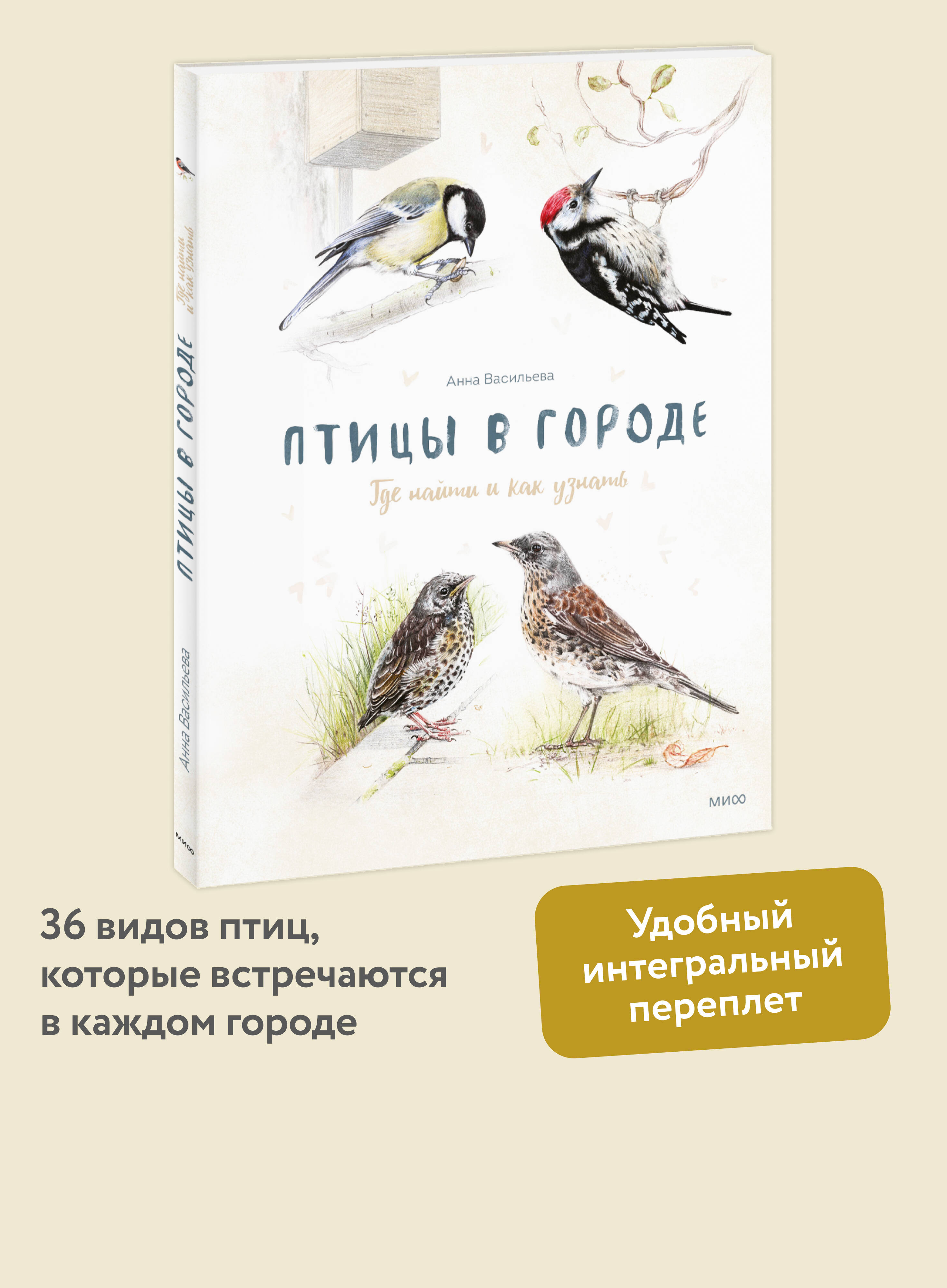 Книга Миф Птицы в городе. Где найти и как узнать - фото 1