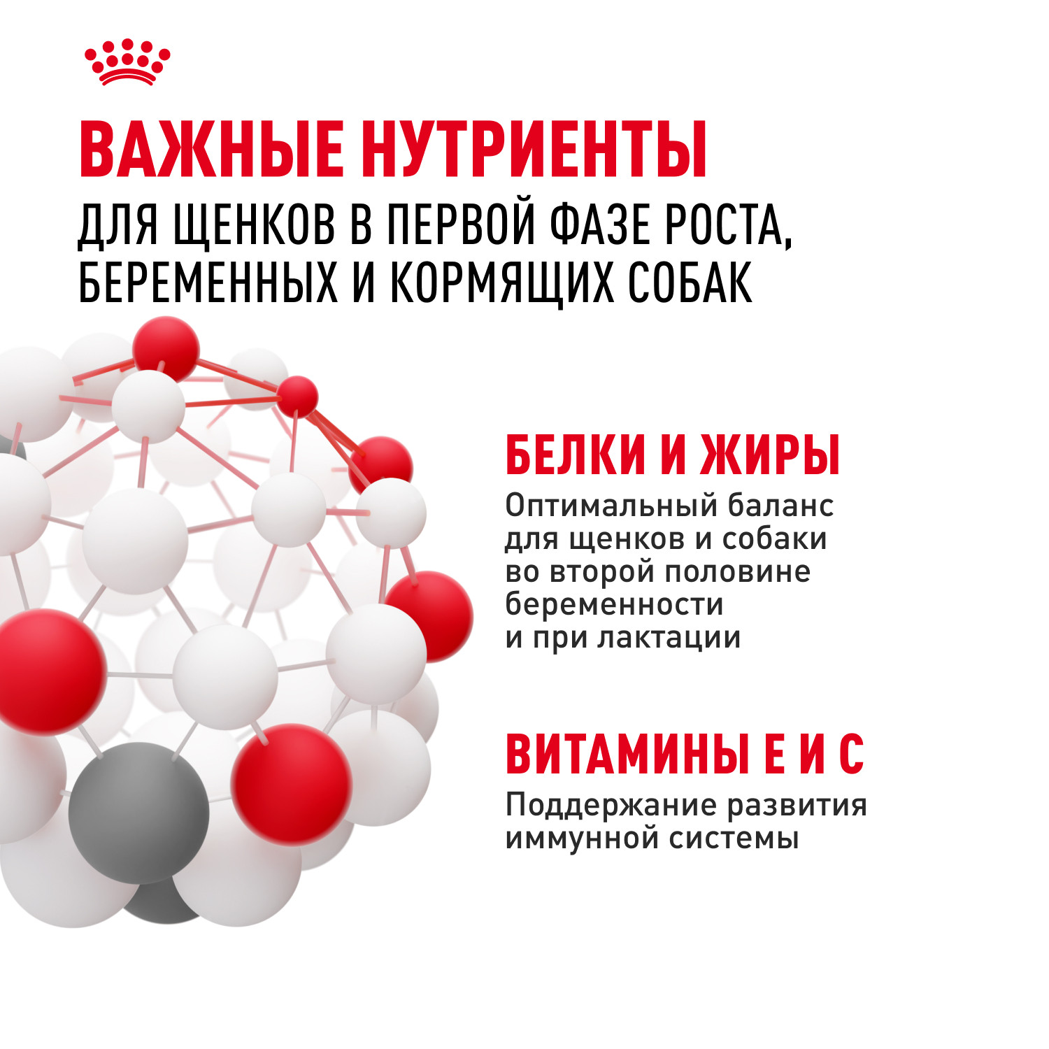Корм для щенков ROYAL CANIN Starter мелких пород 3кг - фото 5