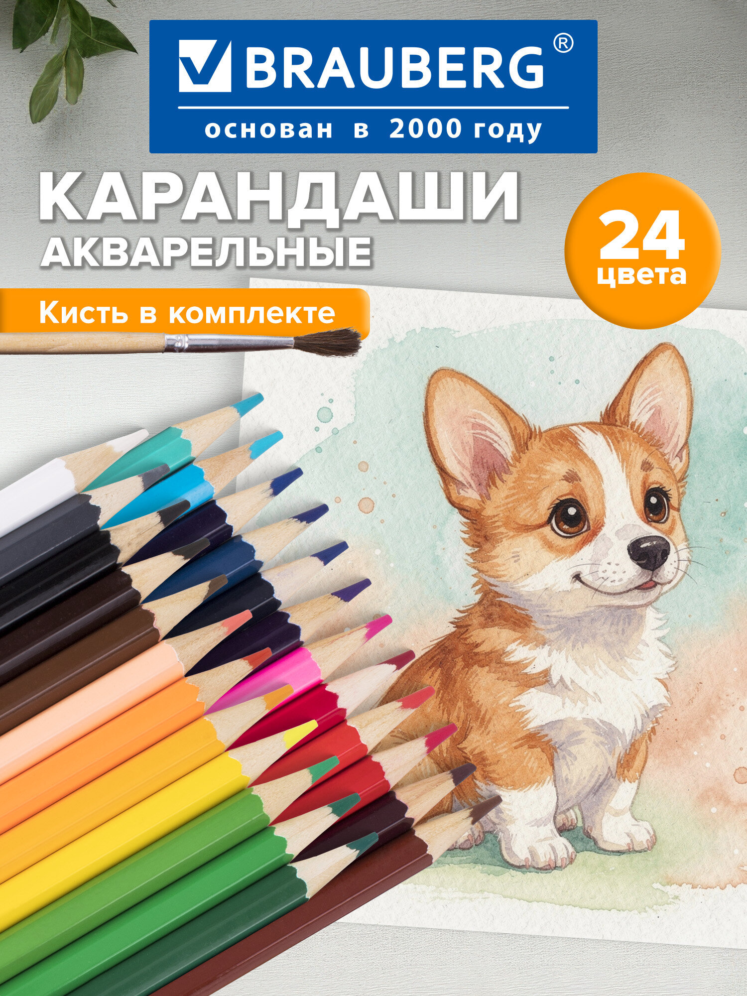 Карандаши акварельные Brauberg 24 шт. - фото 1